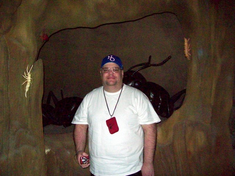 Bugs-16.JPG