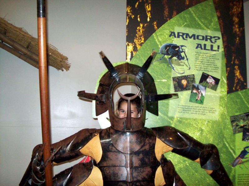 Bugs-23.JPG