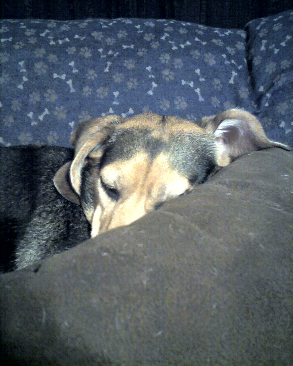 01-13-08_1805.jpg
