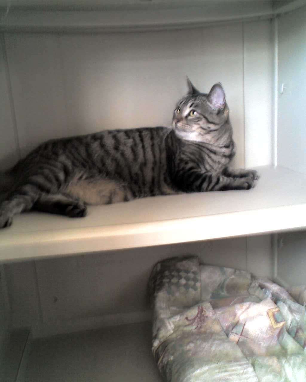 01-17-09_1110.jpg
