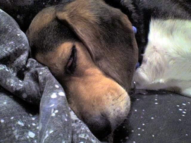01-26-07_1655.jpg