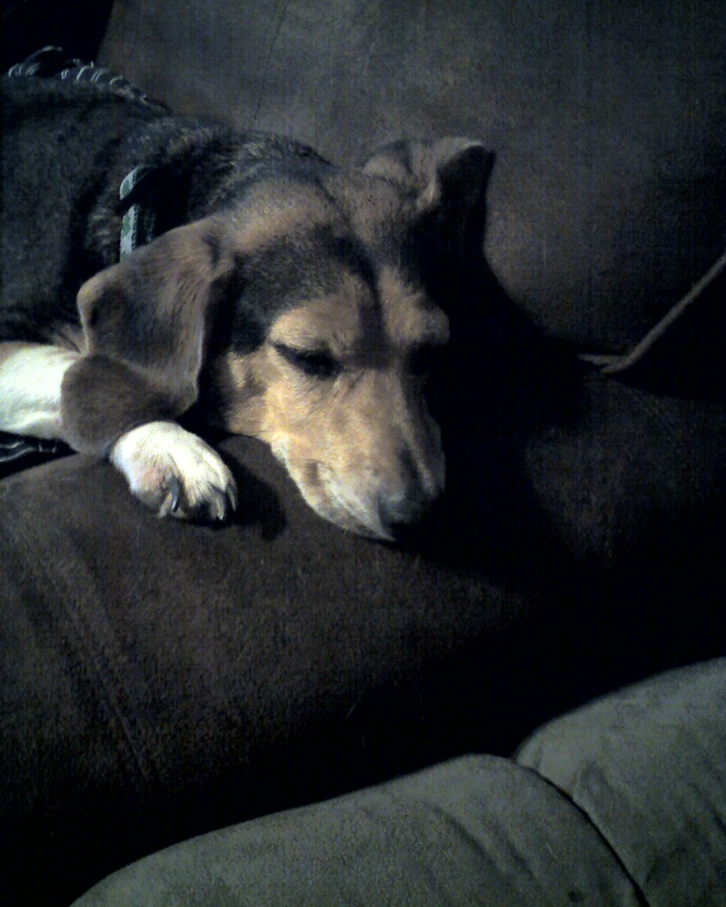 02-24-08_1541.jpg