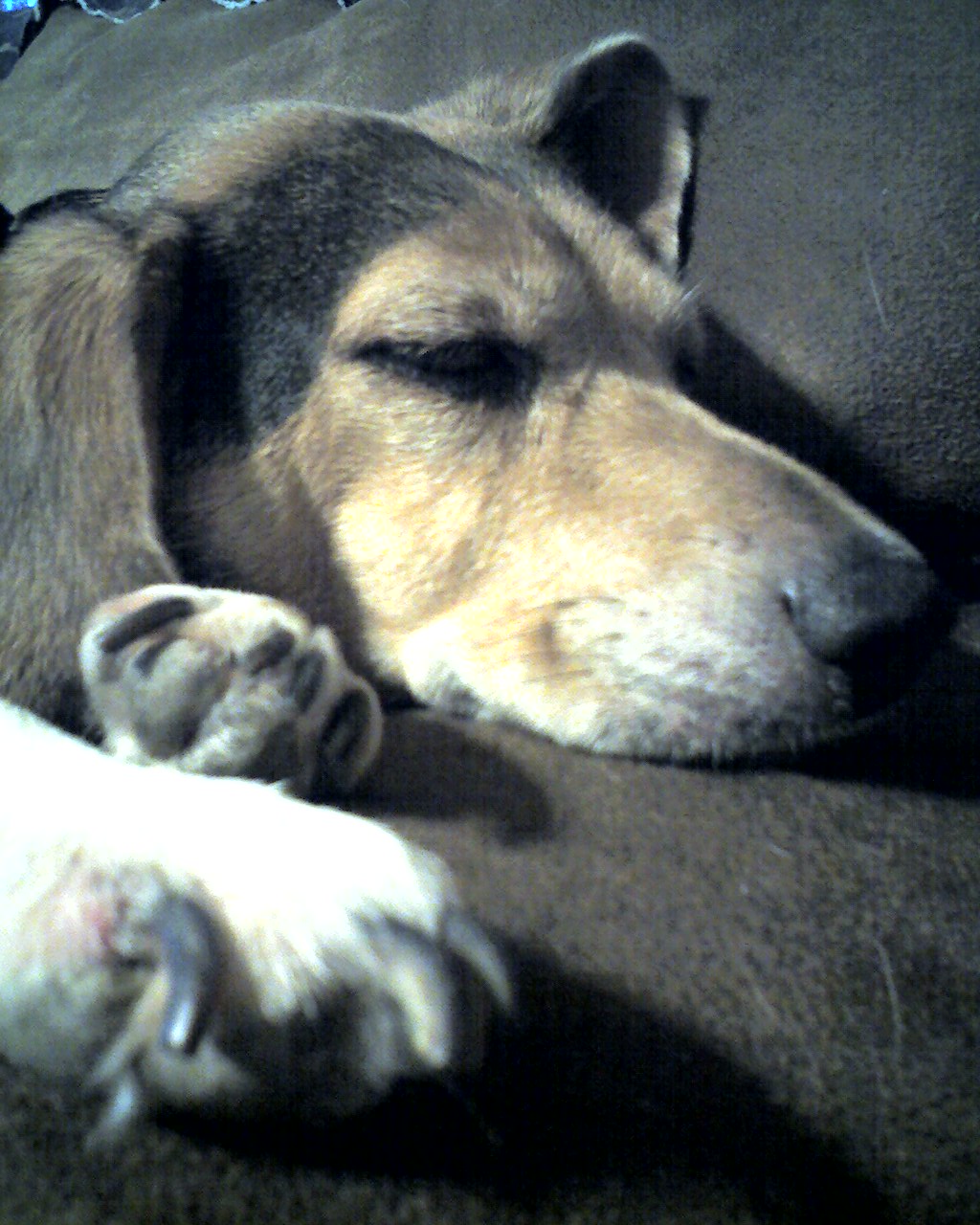 02-24-08_1543.jpg