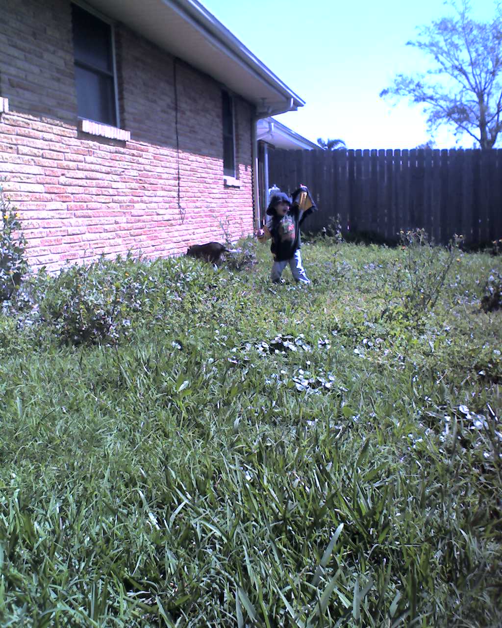 03-01-09_1132.jpg