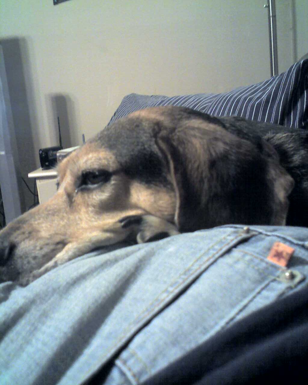 04-26-08_1853.jpg