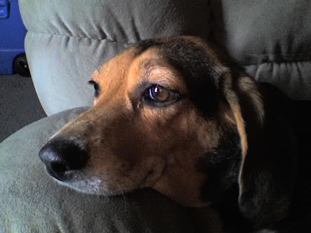 10-10-06_1621.jpg