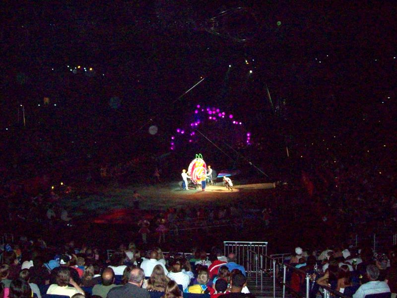 Circus-31.JPG