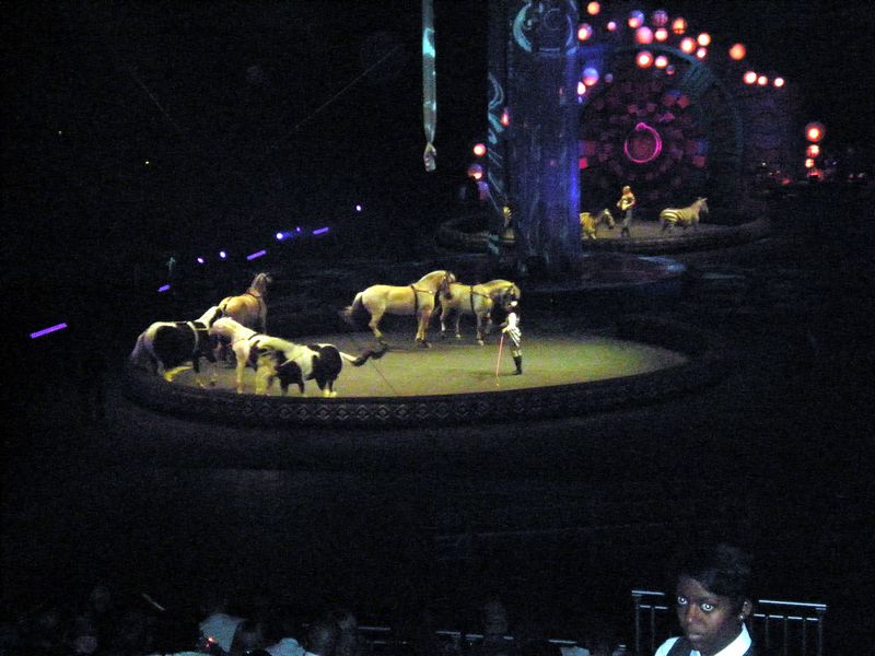 Circus-38.JPG
