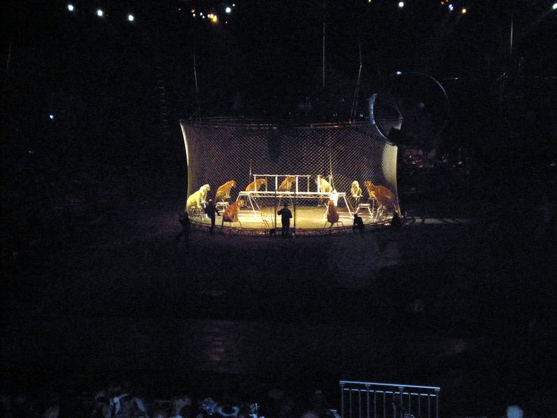 Circus-84.JPG