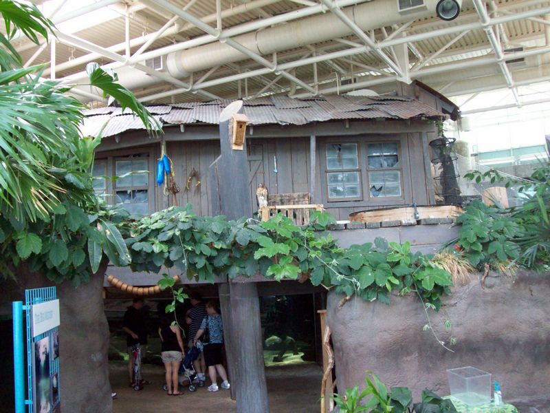 100_1172.JPG