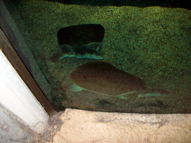 100_1174.JPG