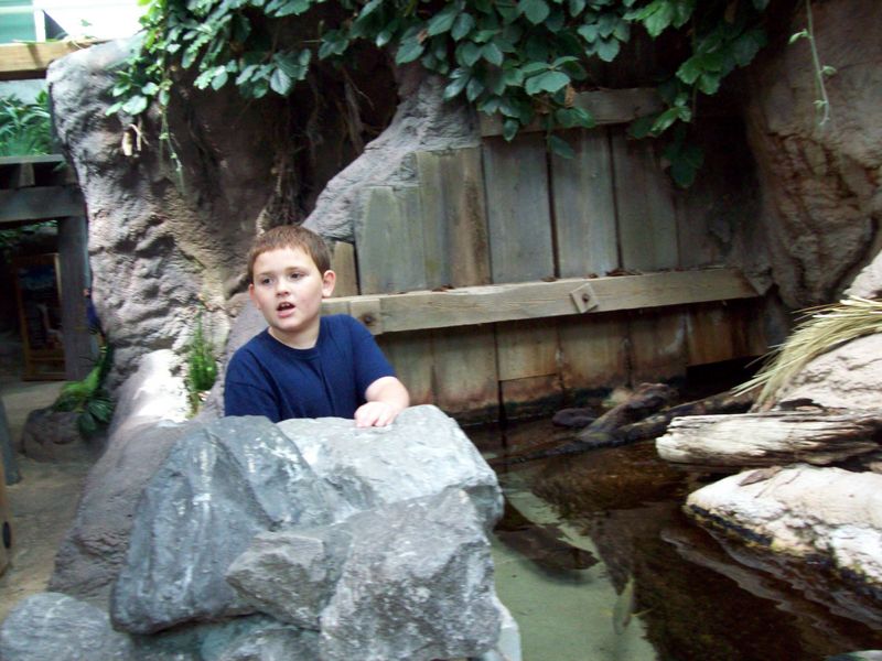 100_1176.JPG