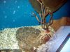 100_1151.JPG