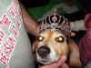 100_0571.JPG