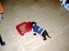 Filename=xDSCF0247.JPG
Filesize=88KiB
Dimensions=800x600
Date added=Feb 11, 2006 xDSCF0247.JPG