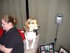 Filename=xDSCF0261.JPG
Filesize=109KiB
Dimensions=800x600
Date added=Feb 11, 2006 xDSCF0261.JPG