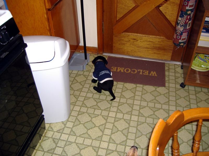 xDSCF0244.JPG