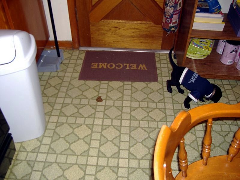 xDSCF0246.JPG
