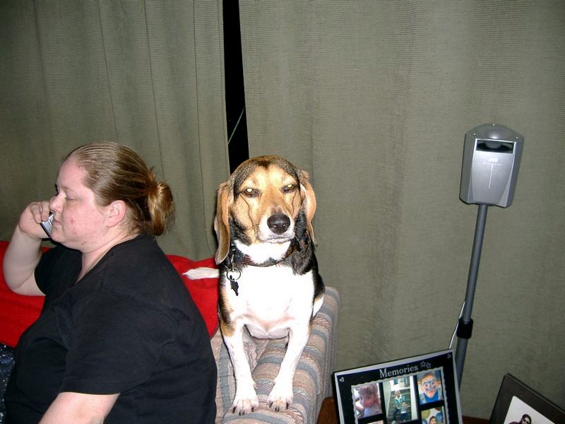 xDSCF0262.JPG