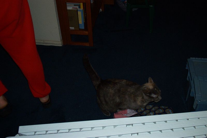 xIM000107.jpg