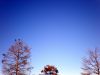 PC180143.JPG