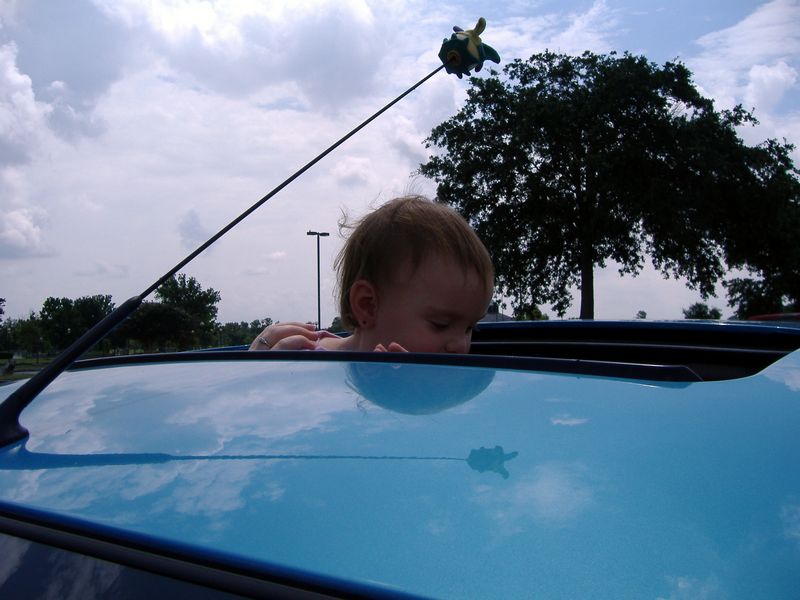 DSCF2216.JPG