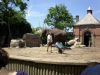 JBDay-078.JPG