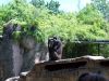 JBDay-082.JPG