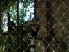 JBDay-136.JPG