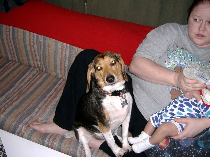 xDSCF0090.JPG