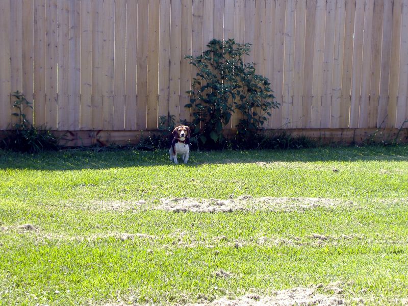 DSCF2151.JPG
