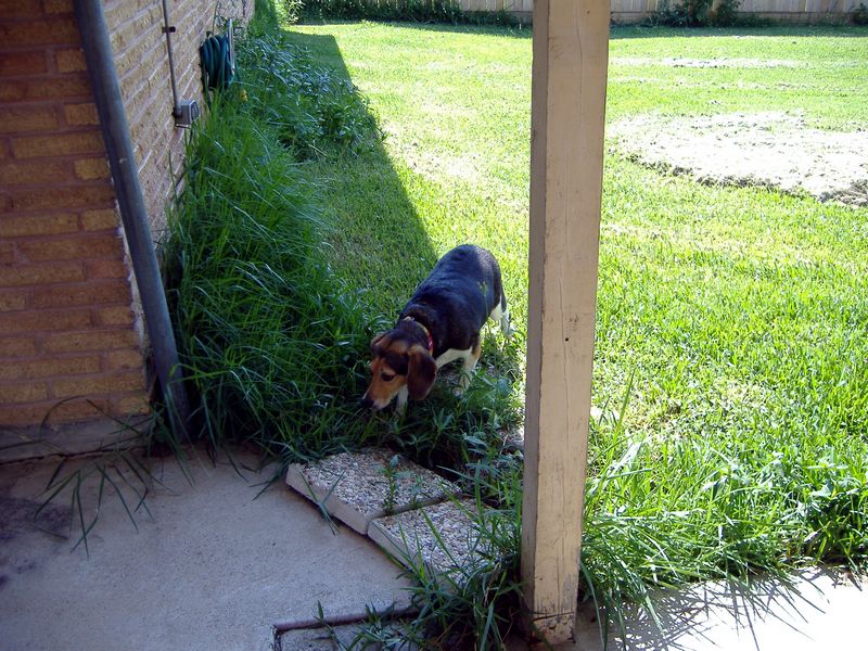 DSCF2152.JPG