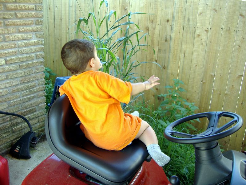 DSCF2159.JPG