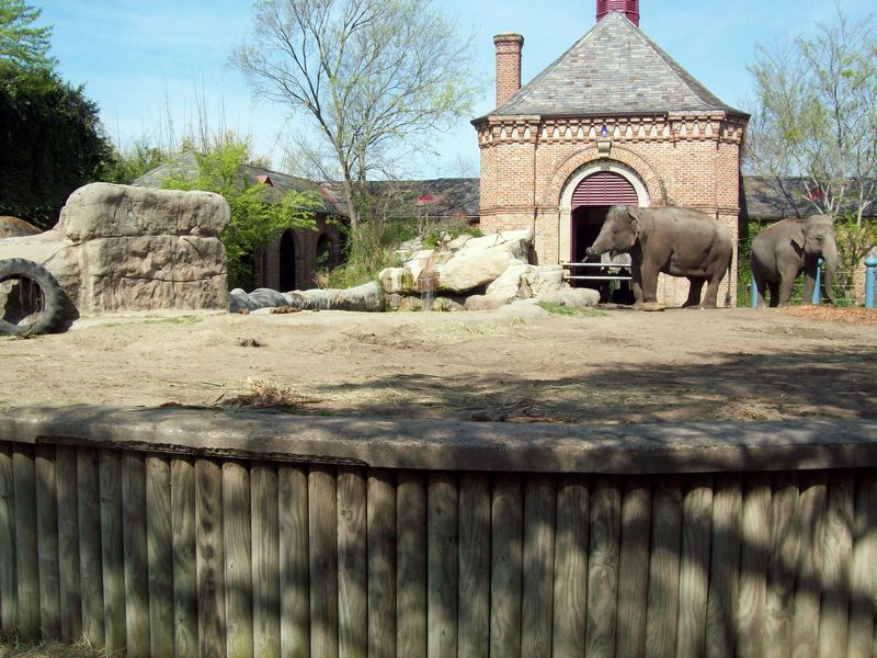100_0791.JPG