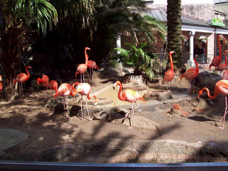 100_0815.JPG