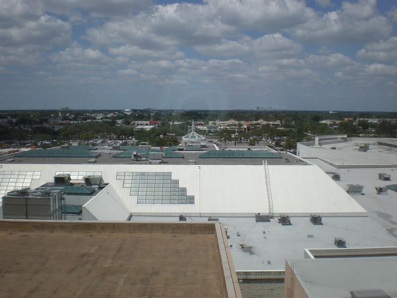 P4250039.JPG