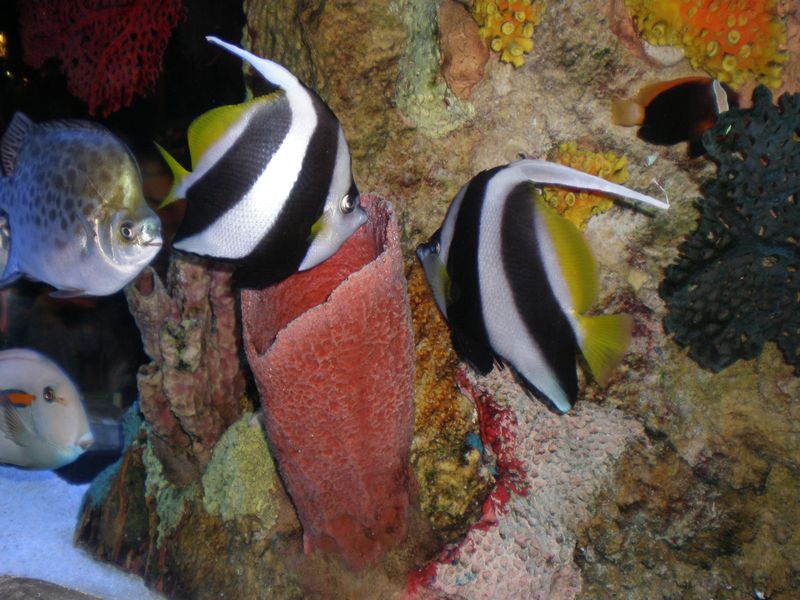 P4250100.JPG