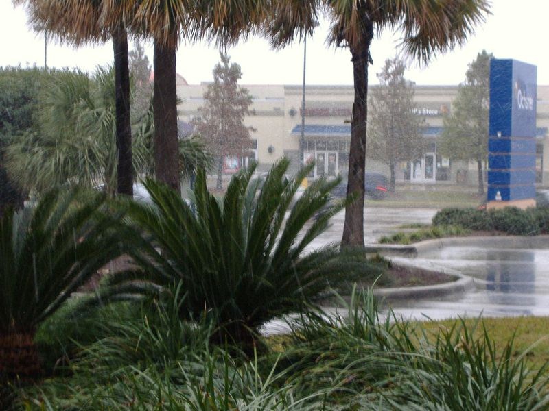 DSCF3094.JPG
