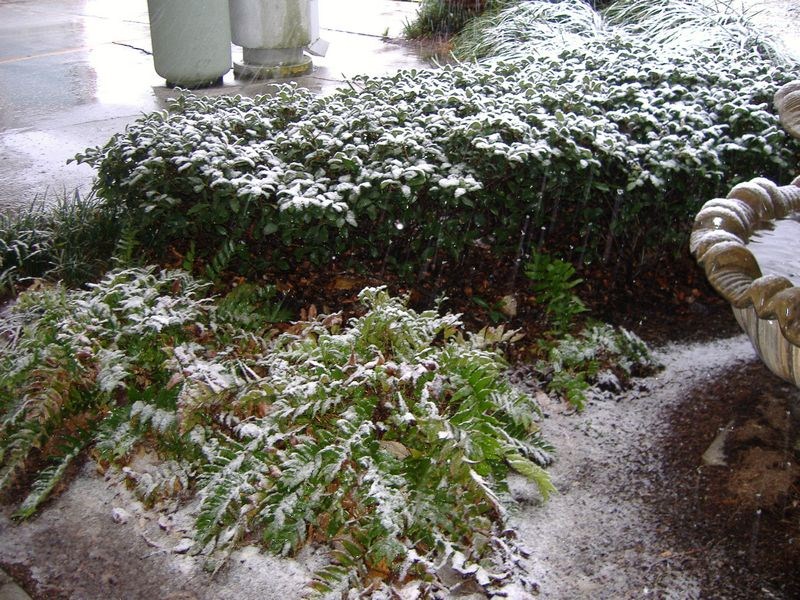 DSCF3106.JPG
