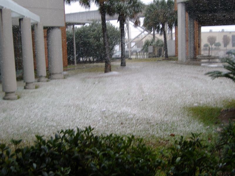 DSCF3107.JPG