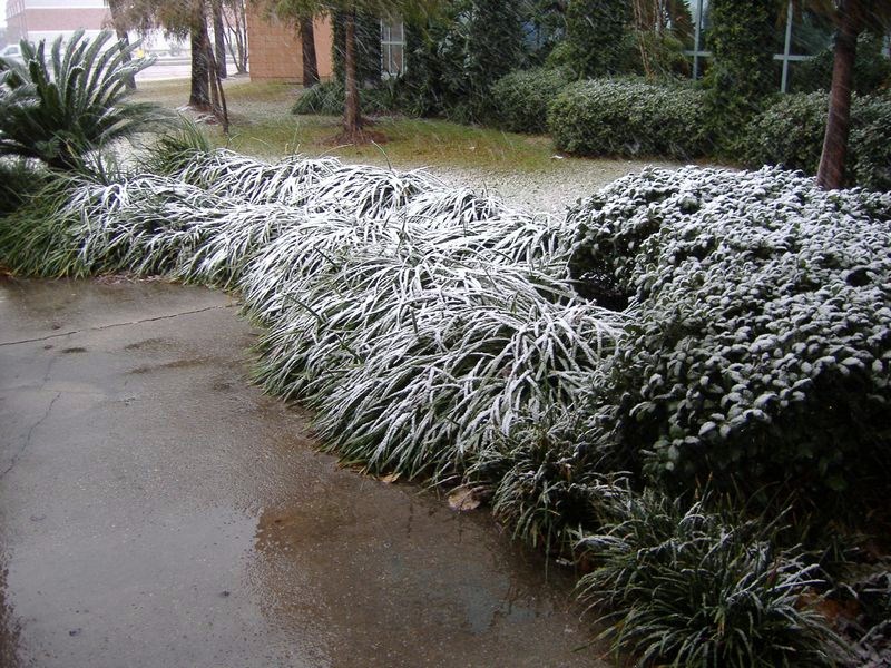 DSCF3108.JPG