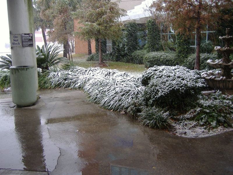 DSCF3111.JPG