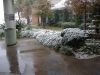 DSCF3111.JPG