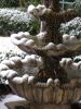DSCF3116.JPG