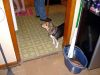 Filename=xDSCF0196.JPG
Filesize=120KiB
Dimensions=800x600
Date added=Feb 11, 2006 xDSCF0196.JPG