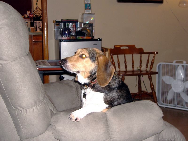 xDSCF0203.JPG