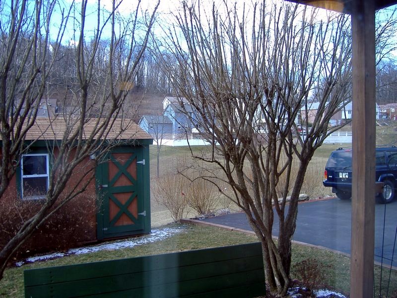 x_DSCF0534.JPG