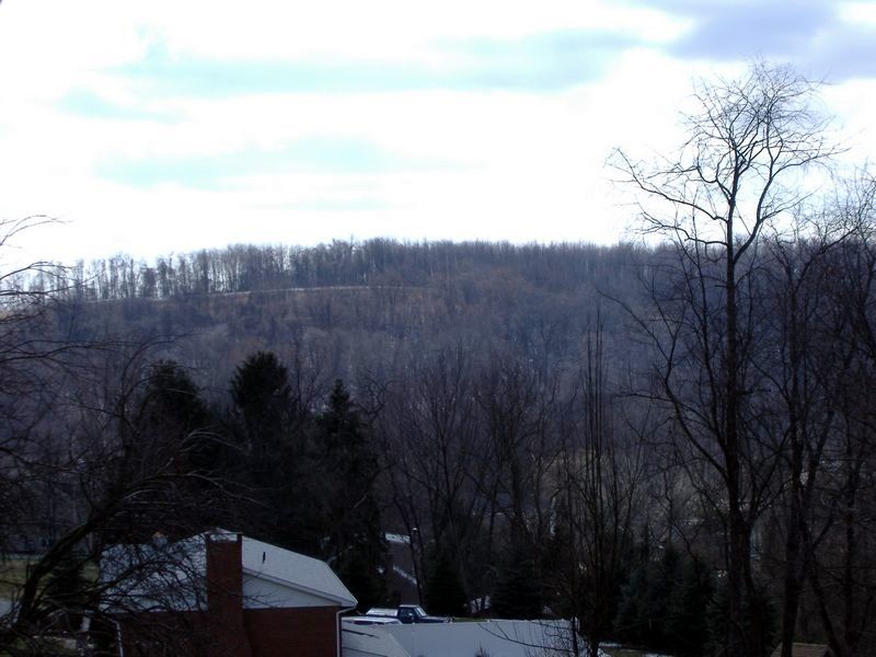x_DSCF0542.JPG