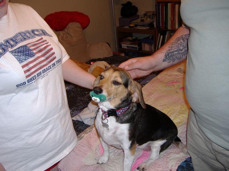 x_DSCF1149.JPG