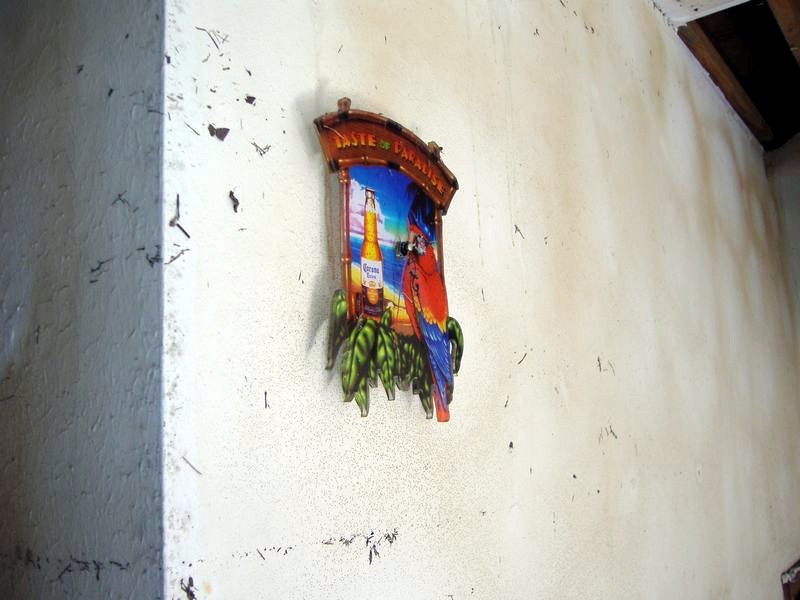 xDSCF0059.JPG